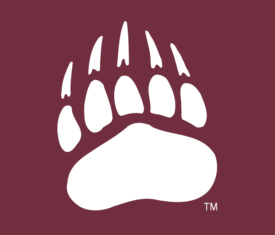 Montana Grizzlies 1996-Pres Alternate Logo v4 diy DTF decal sticker